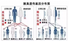 大连红山区治疗狐臭医院科普后天狐臭的成因