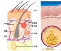 大连患狐臭后如何护理好